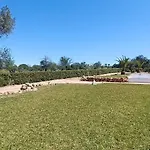 Vila Quinta Do Lagar - 07